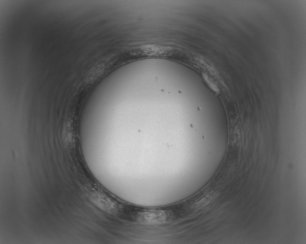 X0000083530317200702240025