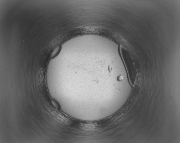 X0000083530318200702240025