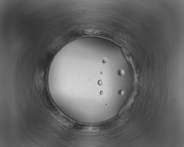 X0000083530319200702240025