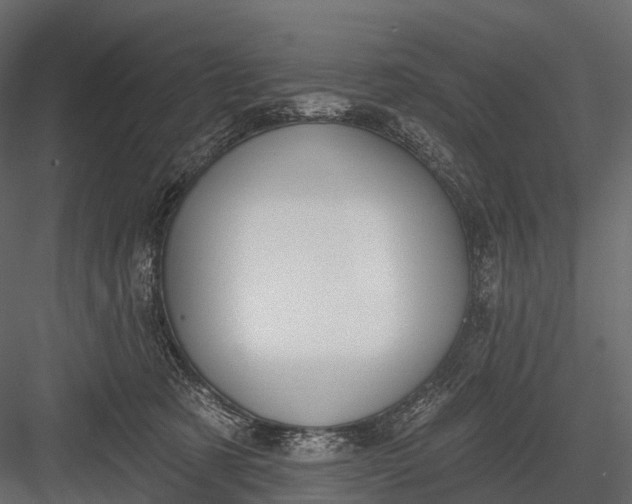 X0000083530321200702240025