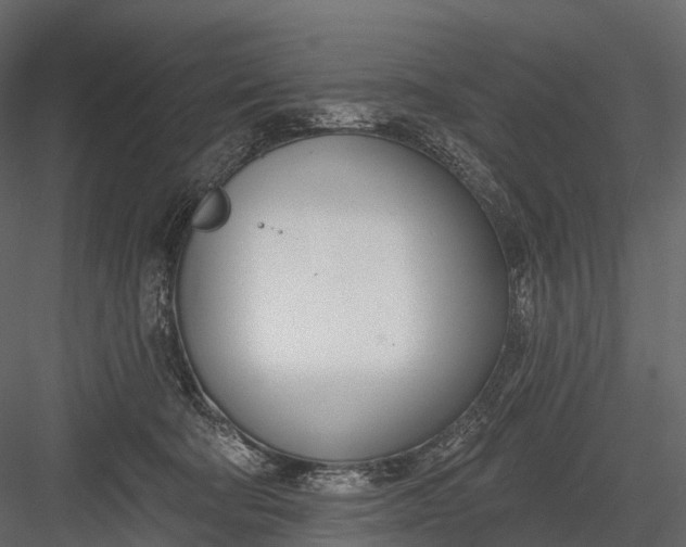 X0000083530322200702240025