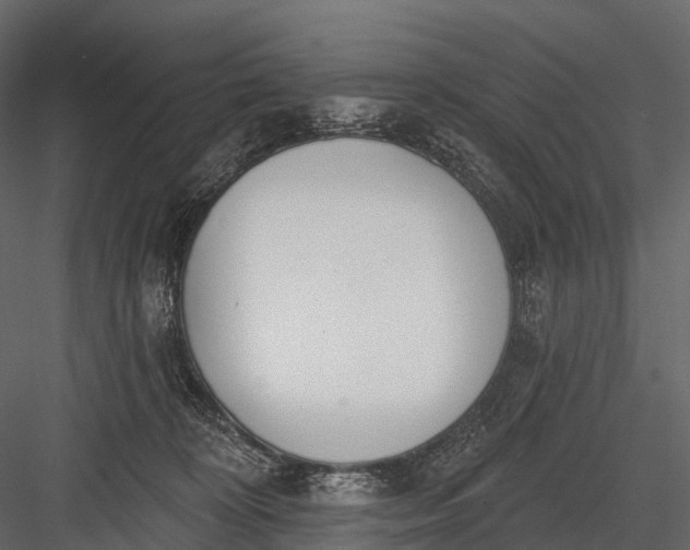 X0000083530324200702240025