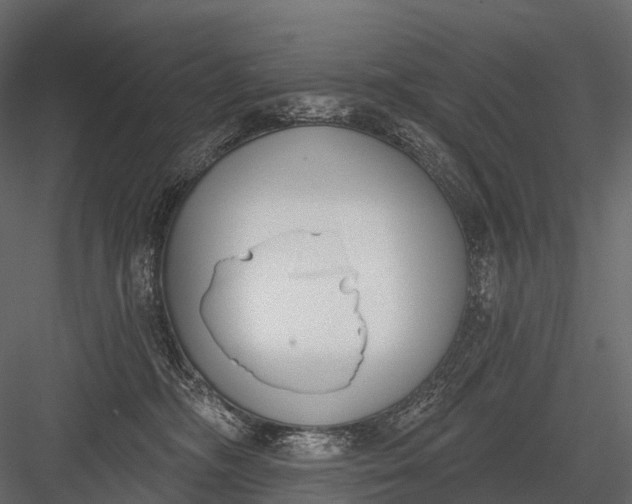 X0000083530326200702240025