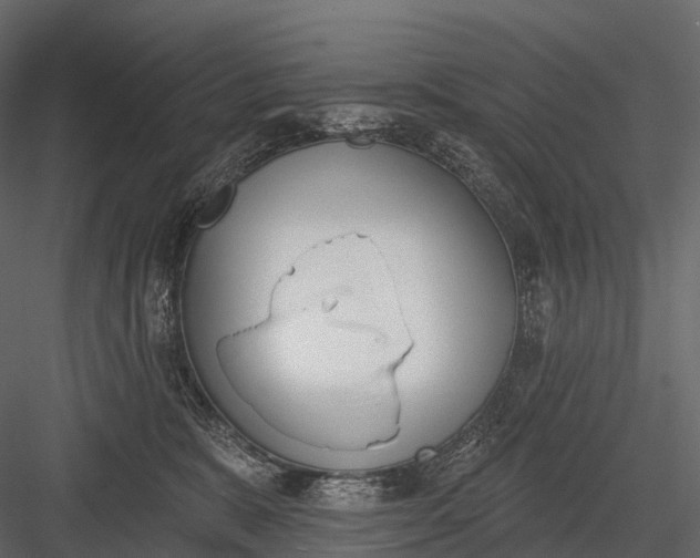 X0000083530327200702240025