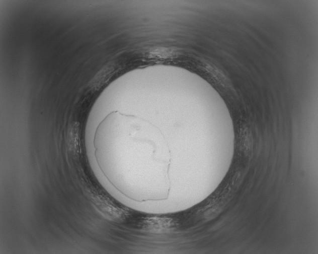 X0000083530328200702240025