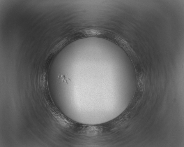 X0000083530330200702240025