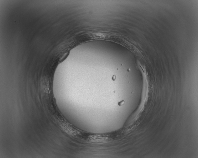 X0000083530331200702240025