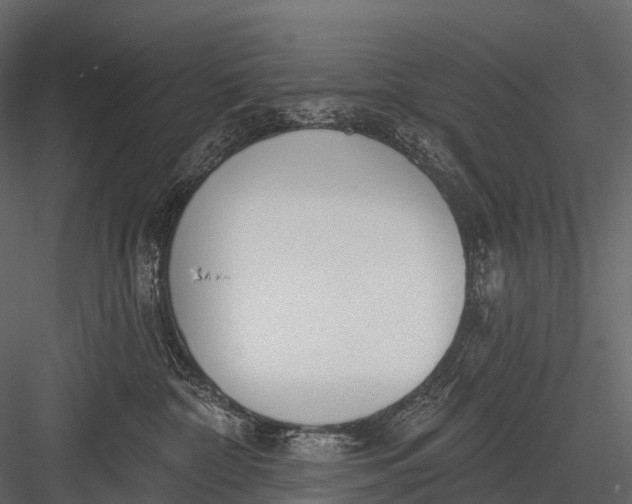 X0000083530332200702240025