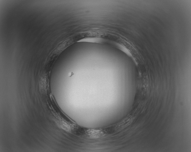 X0000083530333200702240025