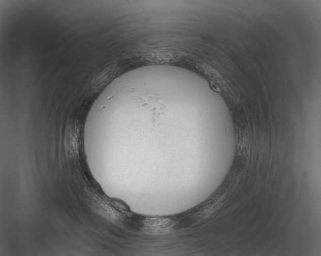 X0000083530334200702240025