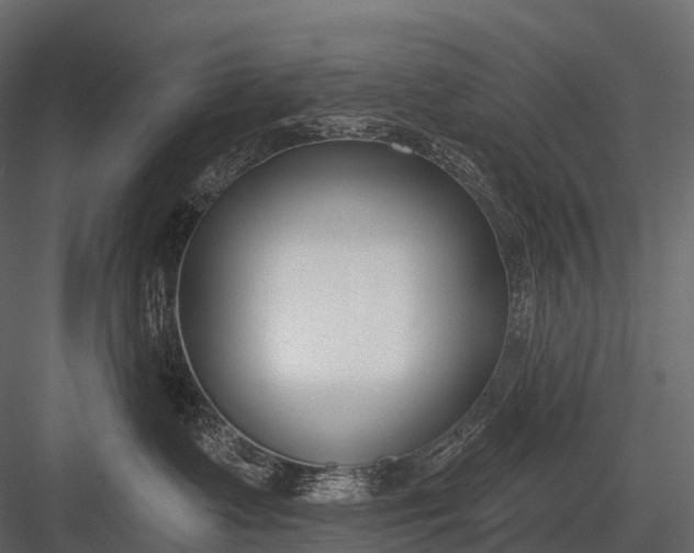 X0000083530335200702240025