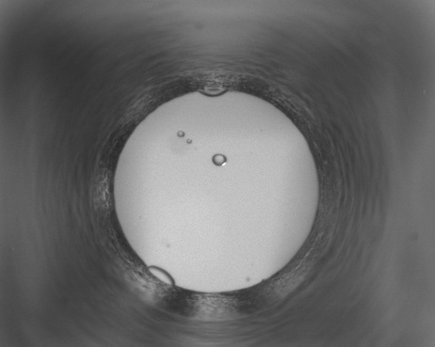 X0000083530336200702240025