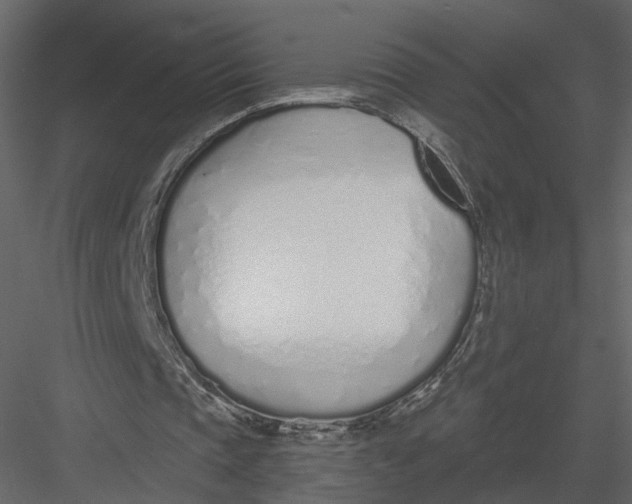 X0000083530337200702240024