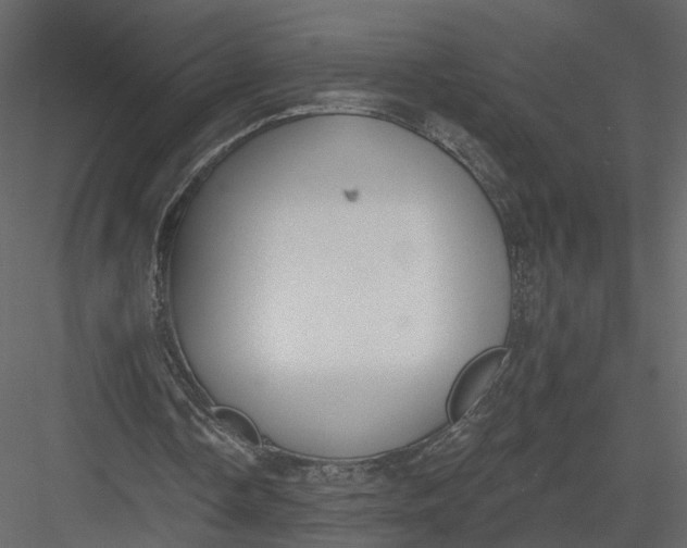 X0000083530338200702240024