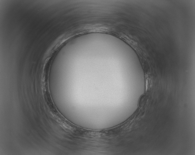 X0000083530339200702240024