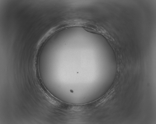 X0000083530341200702240024