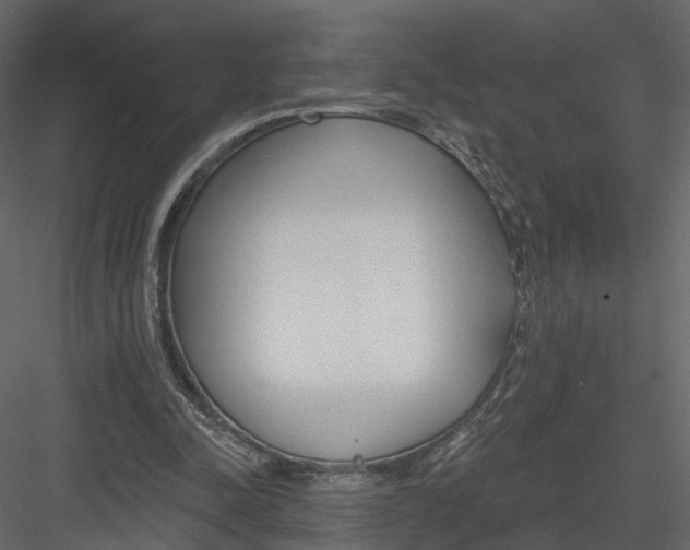 X0000083530342200702240024