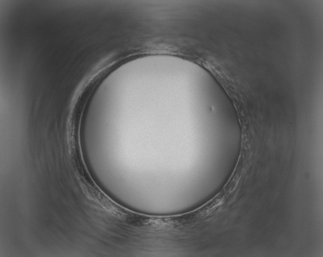 X0000083530343200702240024