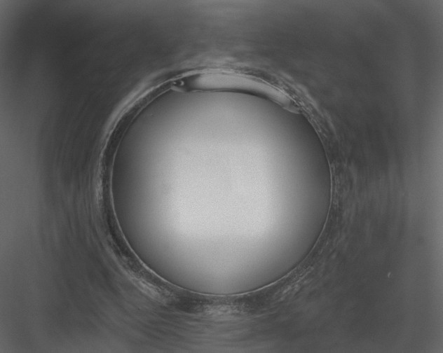 X0000083530344200702240024