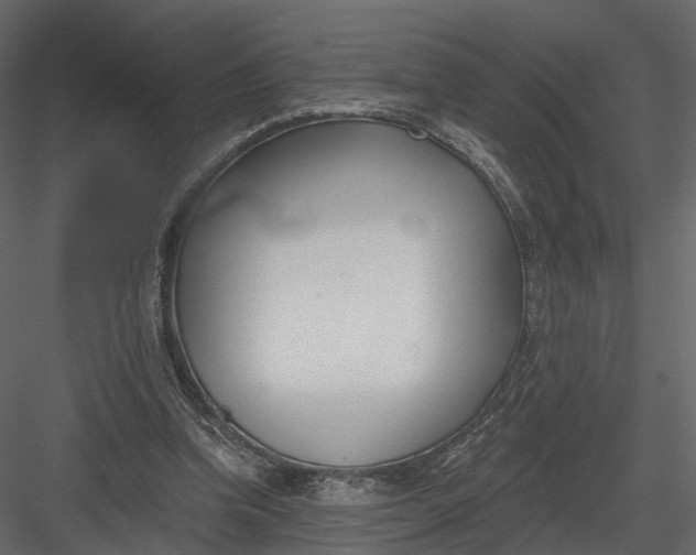 X0000083530346200702240024