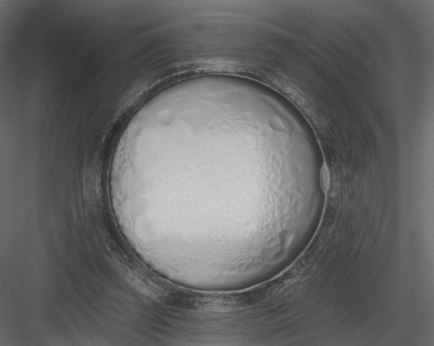 X0000083530347200702240024