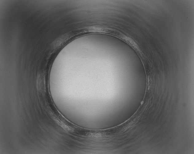 X0000083530349200702240024