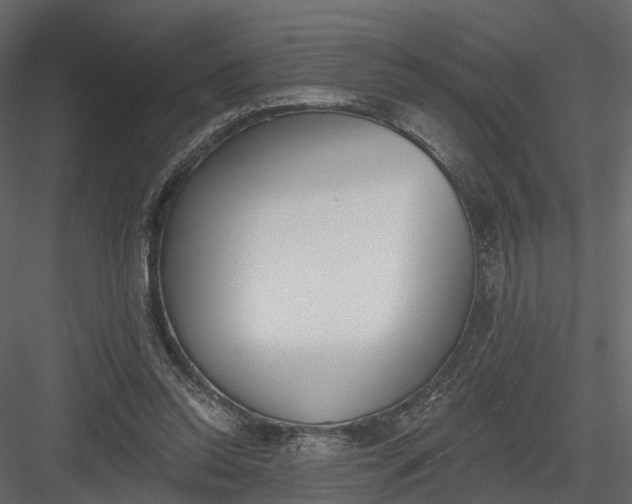 X0000083530350200702240024