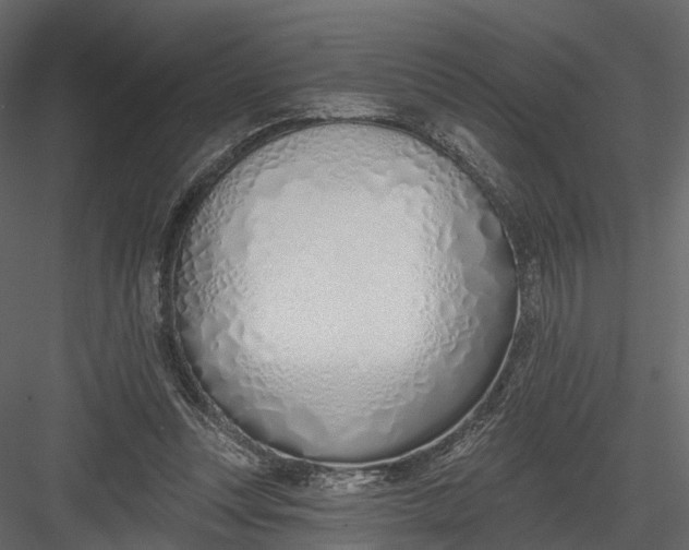 X0000083530351200702240024