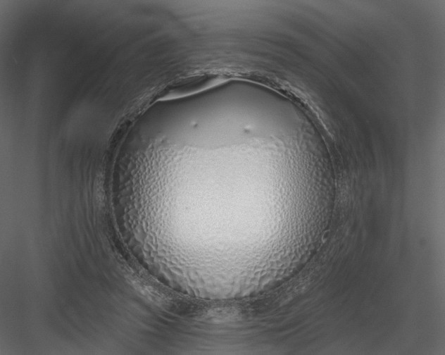 X0000083530353200702240024