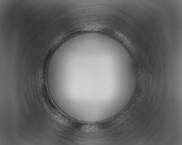 X0000083530354200702240024