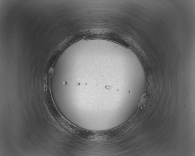 X0000083530356200702240024