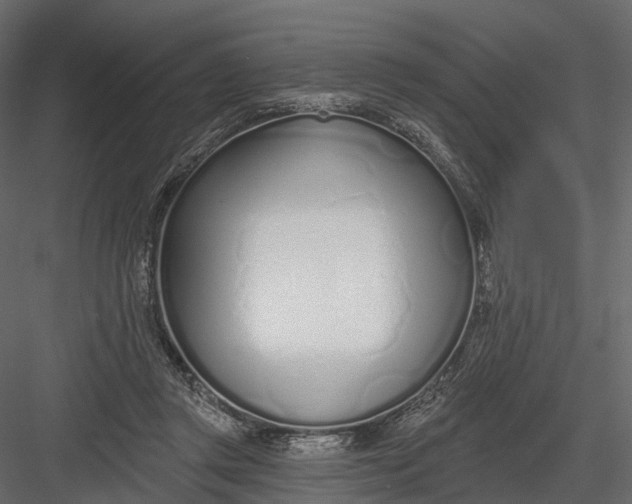 X0000083530357200702240024