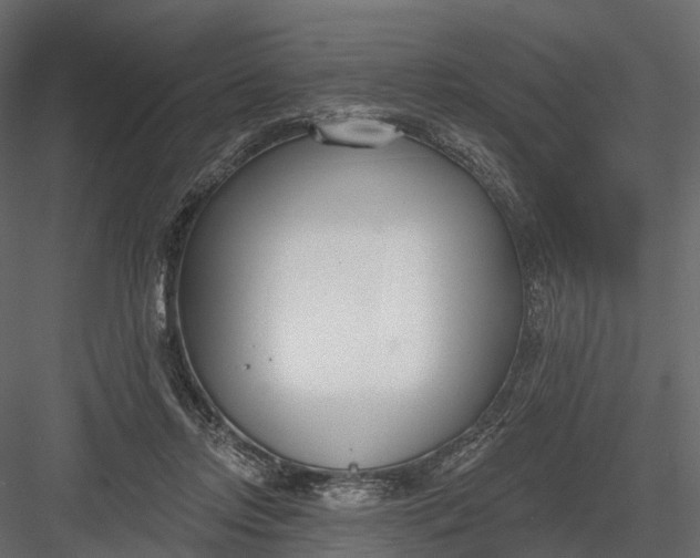 X0000083530358200702240024