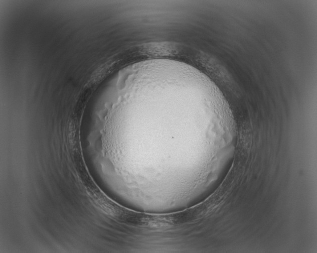 X0000083530359200702240024