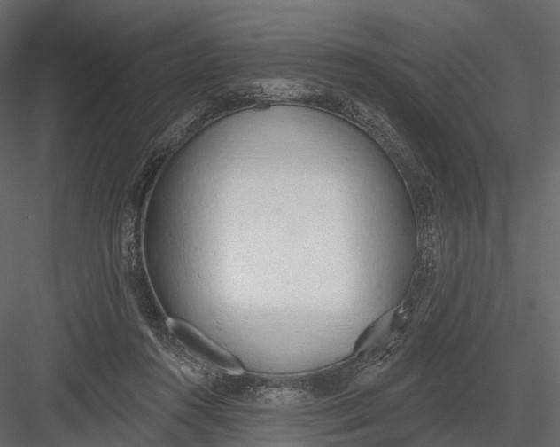 X0000083530360200702240024