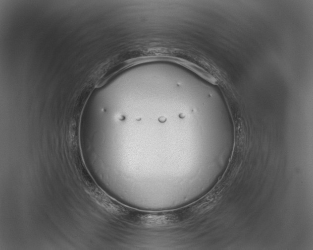 X0000083530361200702240024