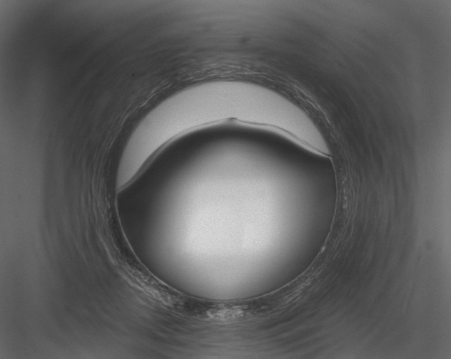 X0000083530362200702240024