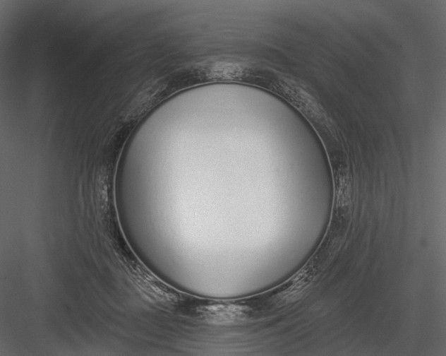 X0000083530363200702240024