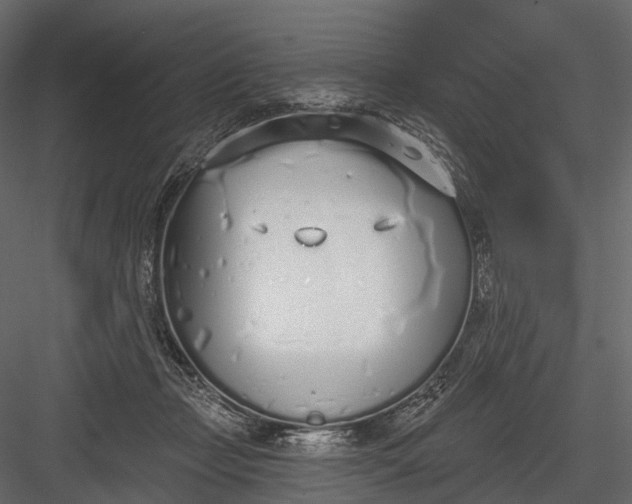 X0000083530365200702240024