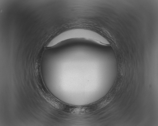 X0000083530366200702240024