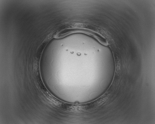 X0000083530367200702240024