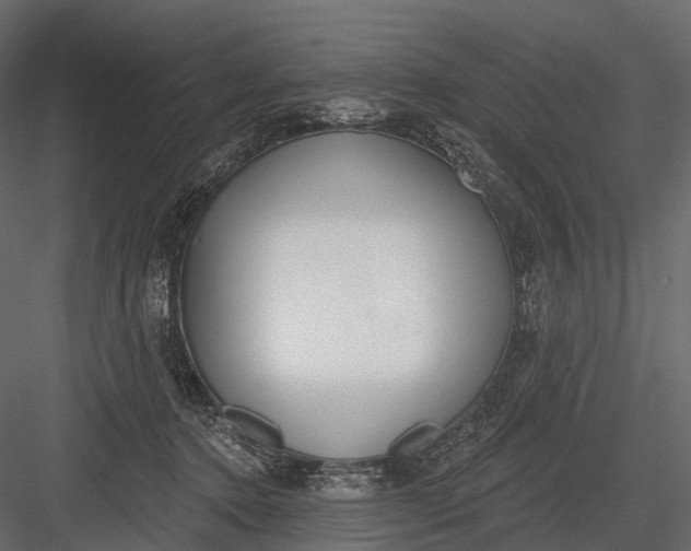 X0000083530368200702240024