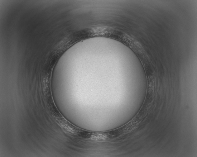 X0000083530369200702240024