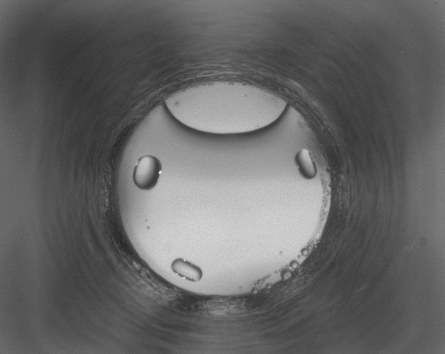 X0000083530370200702240024