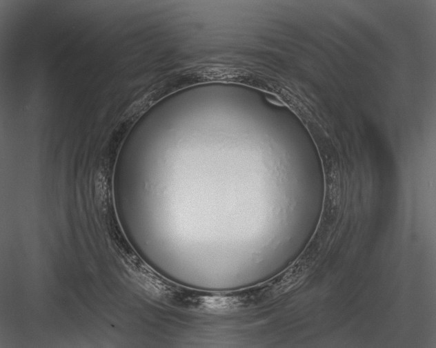 X0000083530371200702240024