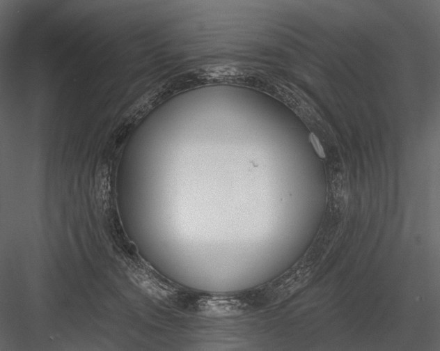 X0000083530372200702240024