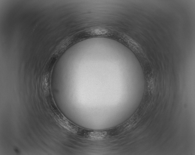 X0000083530373200702240024