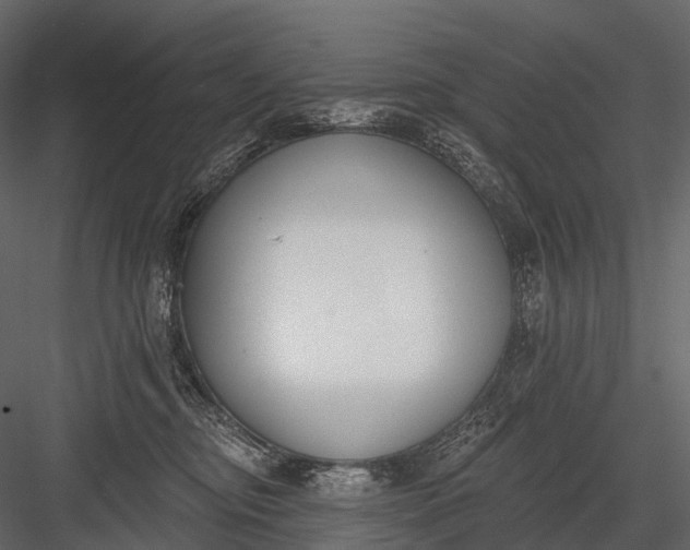 X0000083530374200702240024