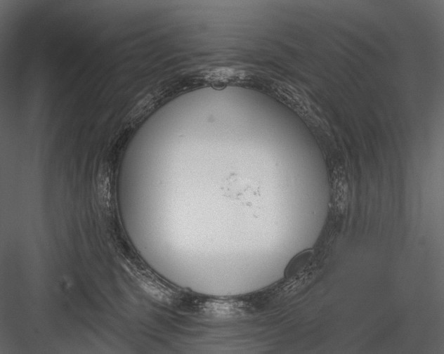 X0000083530375200702240024