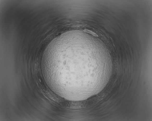 X0000083530376200702240024